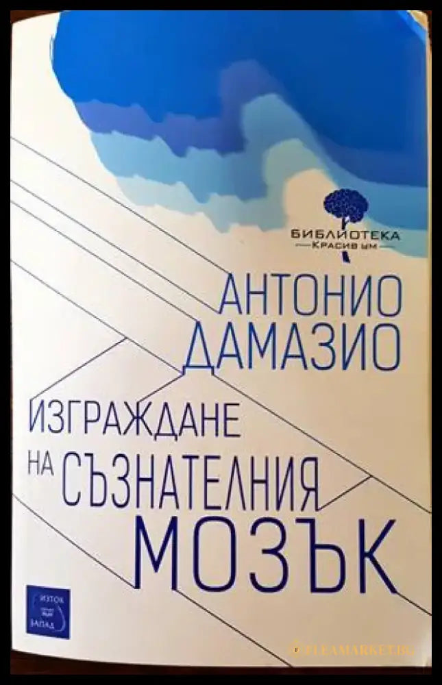 Изграждане на съзнателния мозък - Книги