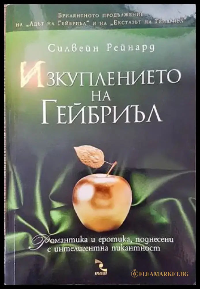 Изкуплението на Гейбриъл - Книга