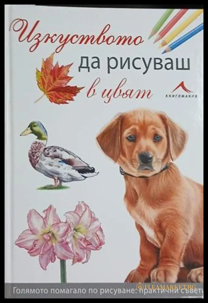 Изкуството да рисуваш в цвят - Книгомания