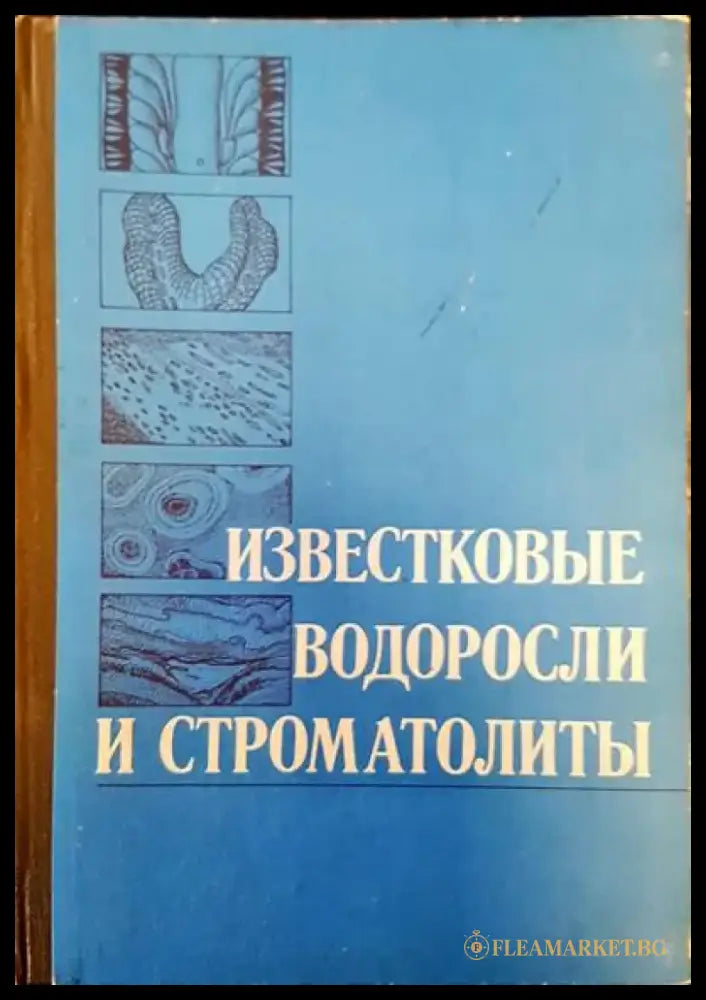 Известковые водоросли и строматолиты - Книги