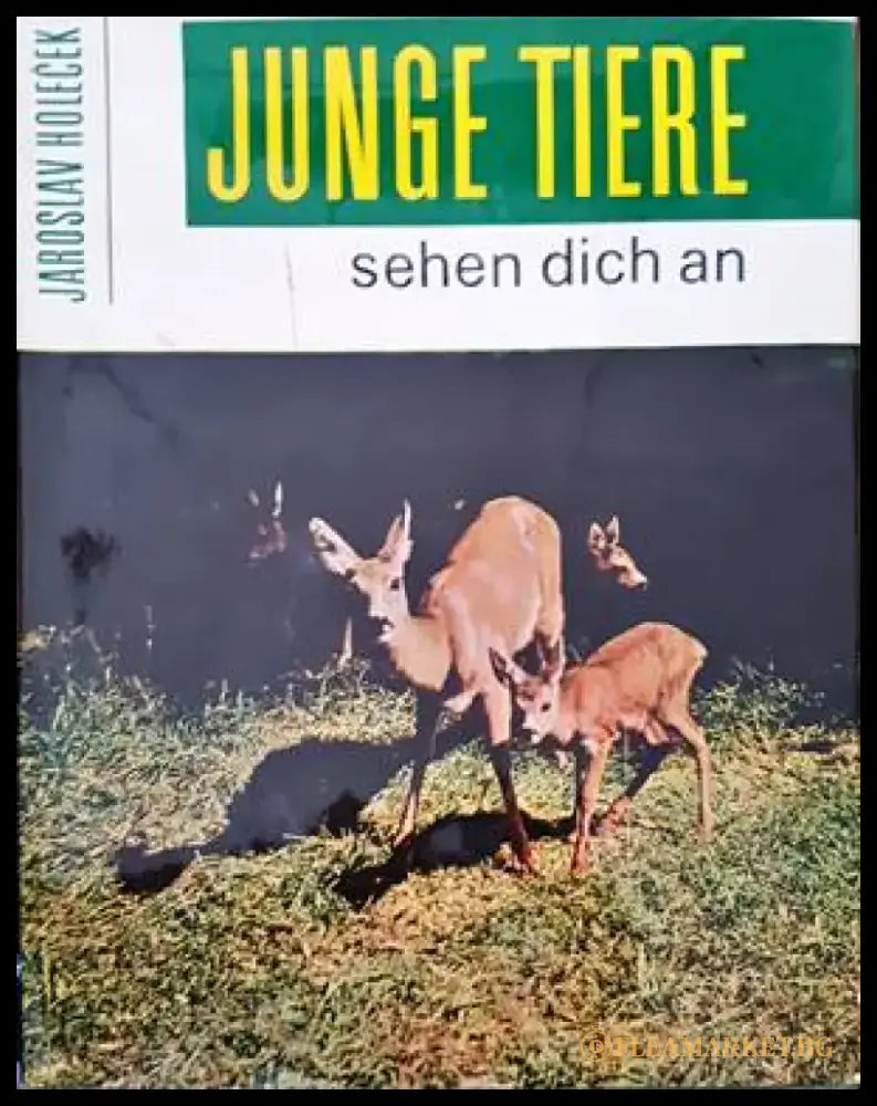 Junge tiere sehen dich an - Книги