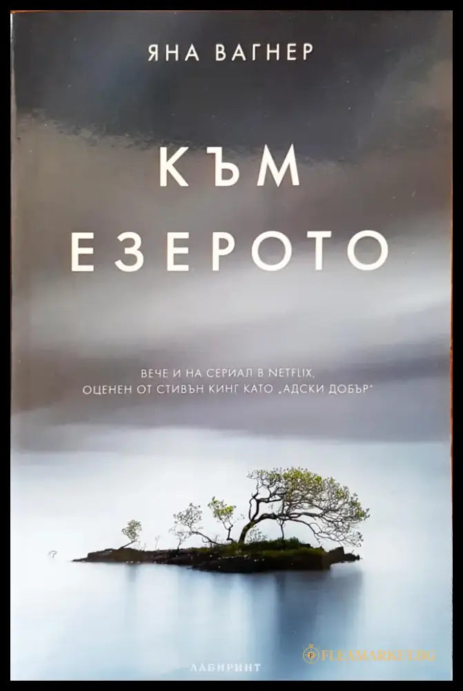 Към езерото - Книги