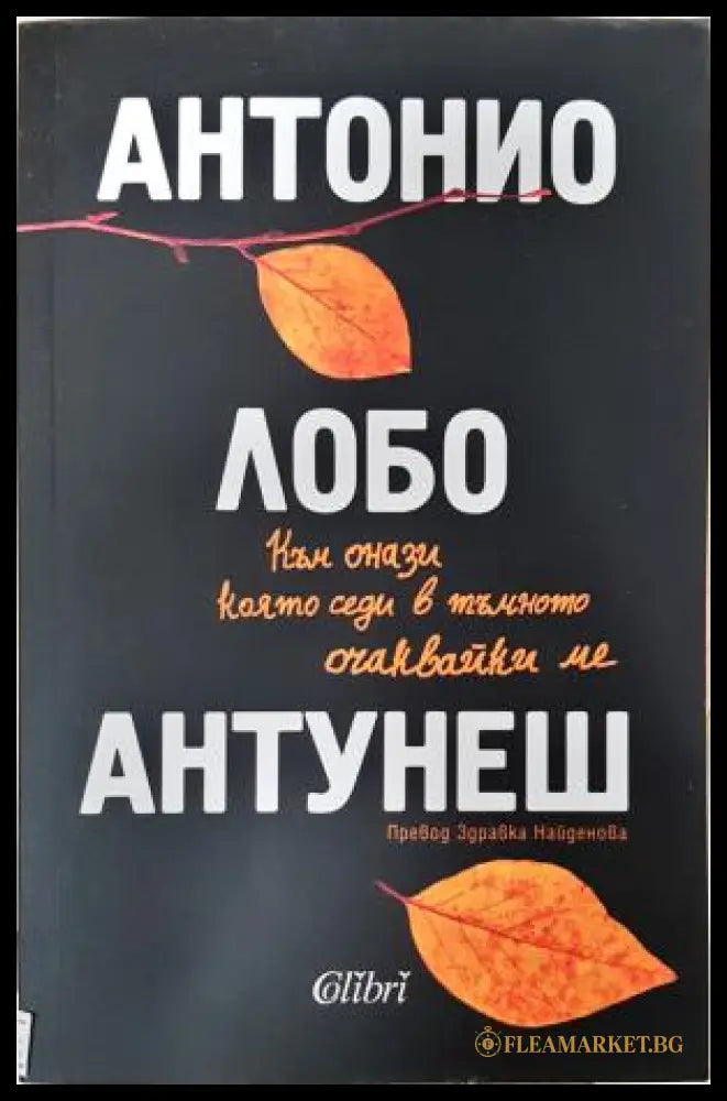 Към онази която седи в тъмното очаквайки ме (351406261311) - Антонио Лобо Антунеш - Книга