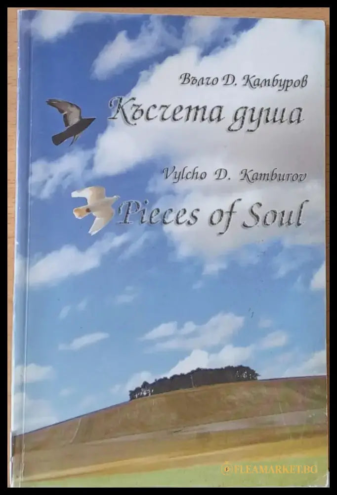 Късчета душа - Книги