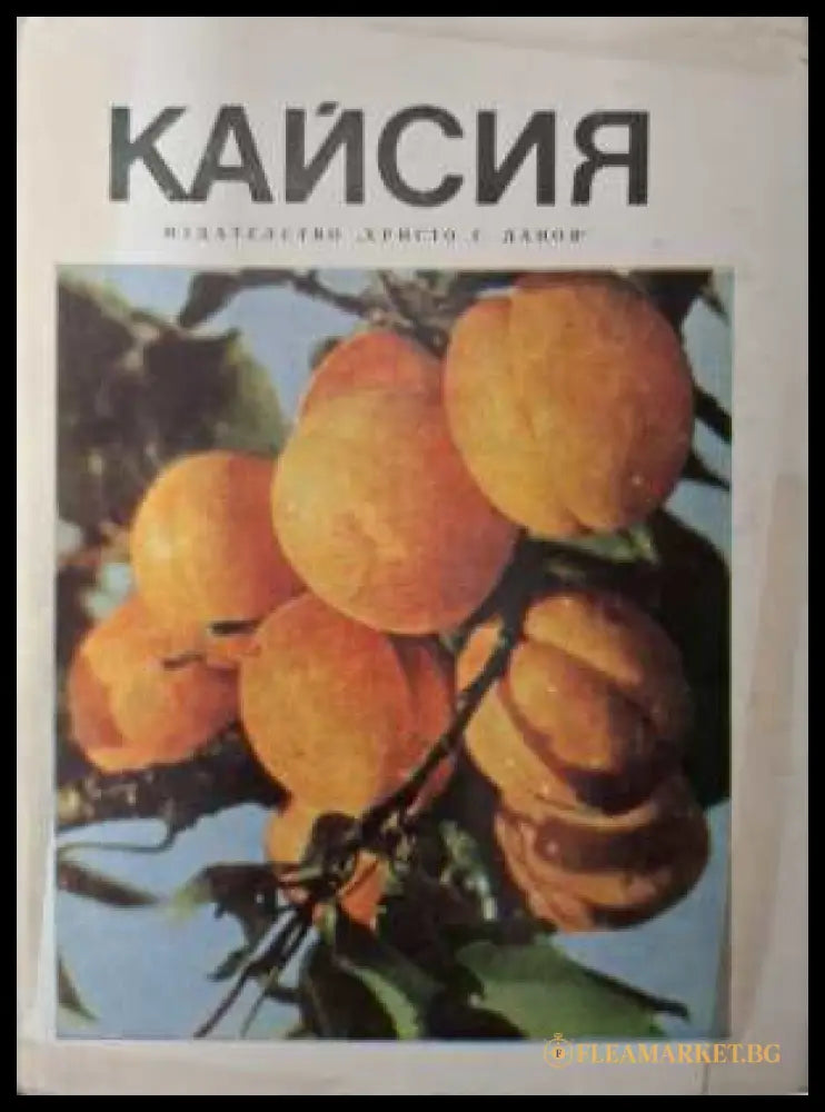 Кайсия - Христо Г. Данов 1983