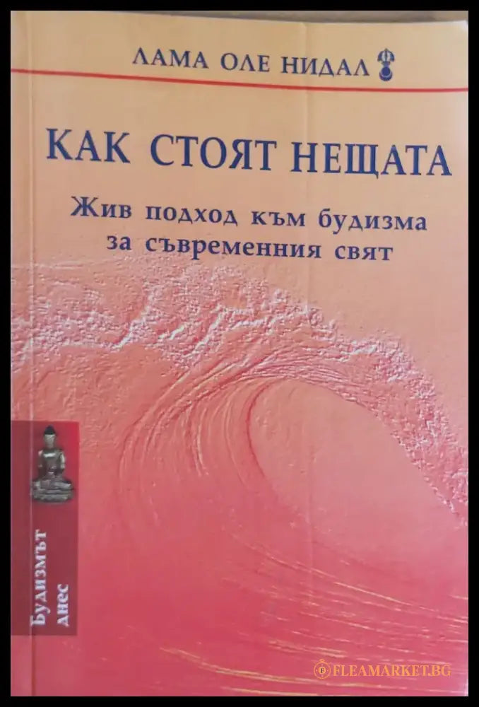 Как стоят нещата Жив подход към будизма за съвременния свят - Книги