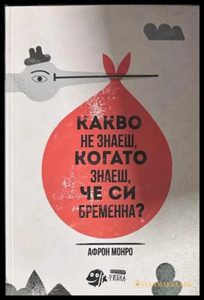 Какво не знаеш, когато знаеш, че си бременна?