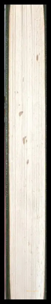 Карманный арабско-русский словарь - Книга