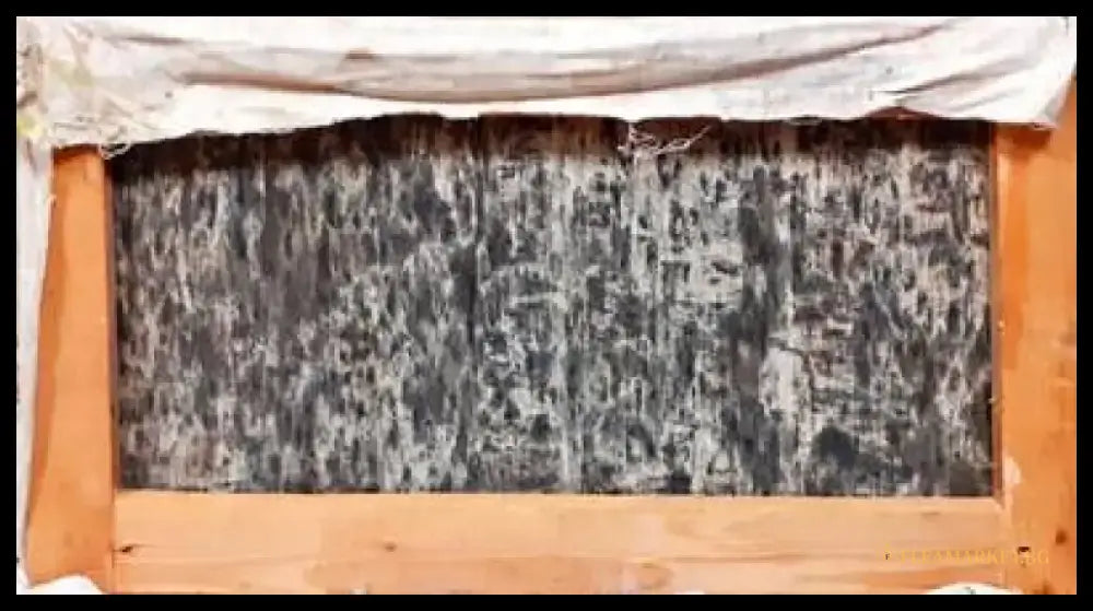 Картина върху платно масло - от 80-те год. - antique