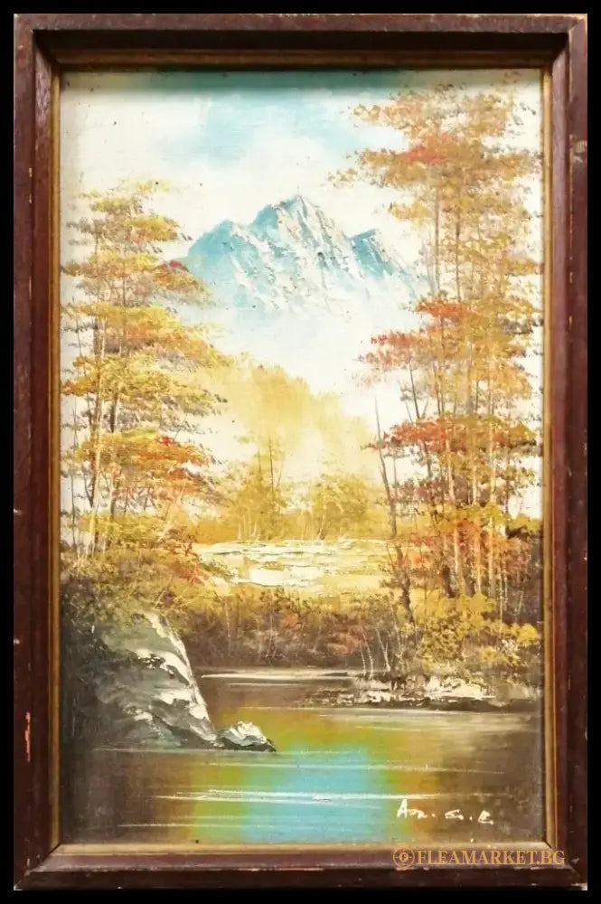 Картина върху платно с рамка масло (343) - Картина