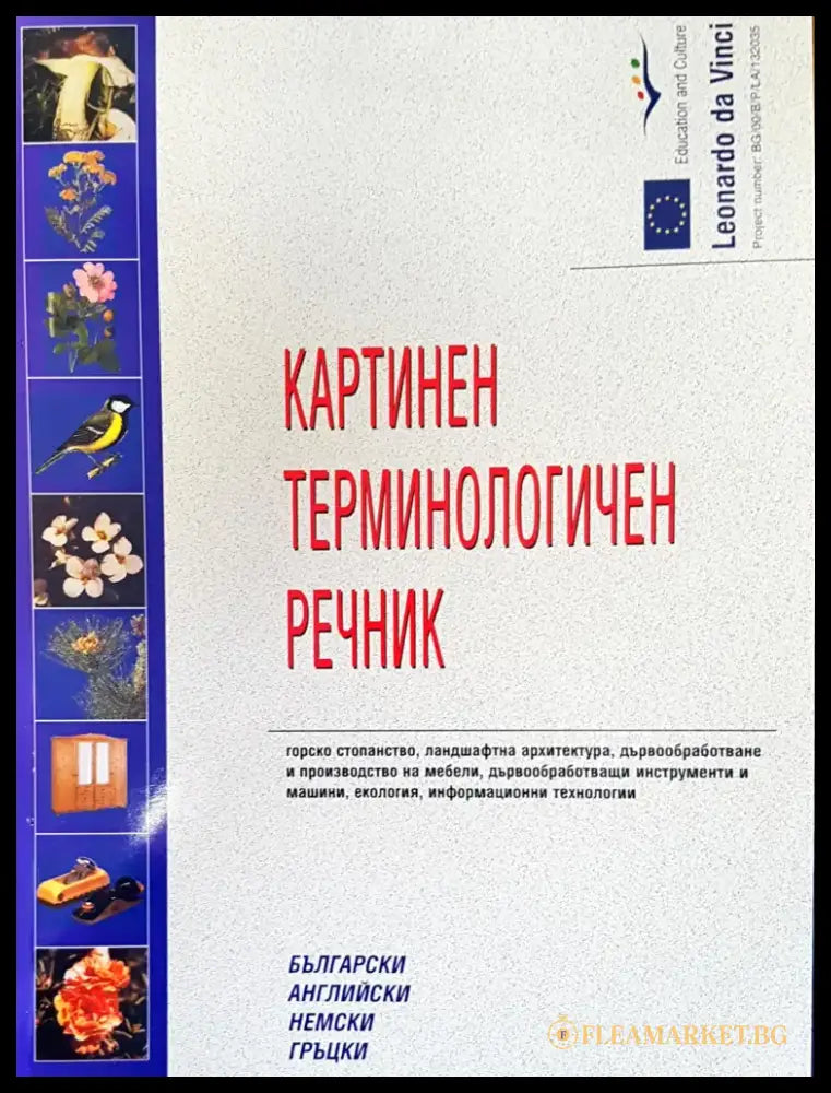 Картинен терминологичен речник - Книги