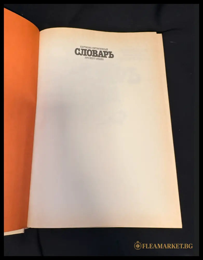 Картинно-ситуативный словарь русского языка (163006261850) - Сборник - Книга