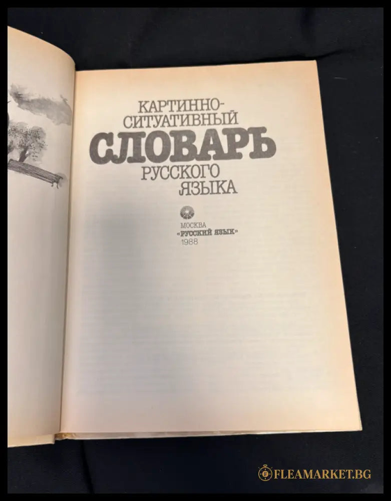 Картинно-ситуативный словарь русского языка (163006261850) - Сборник - Книга
