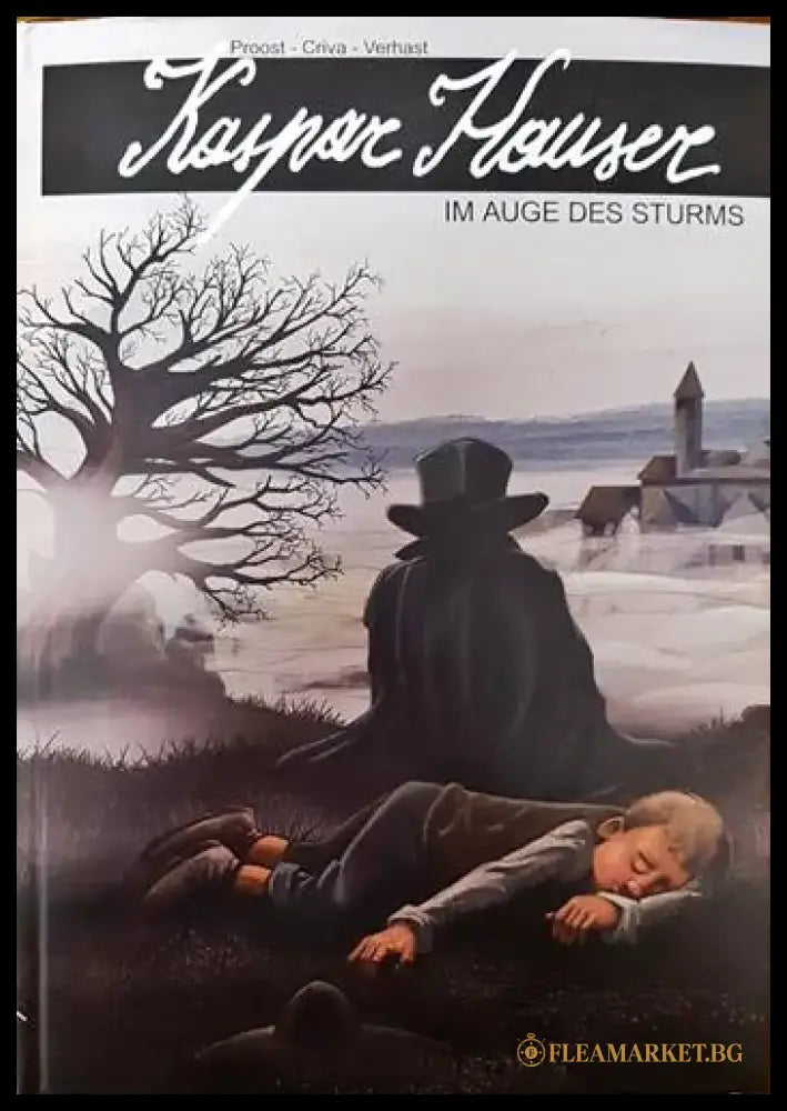 Kaspar Hauser- Im Auge des Sturms - Книги