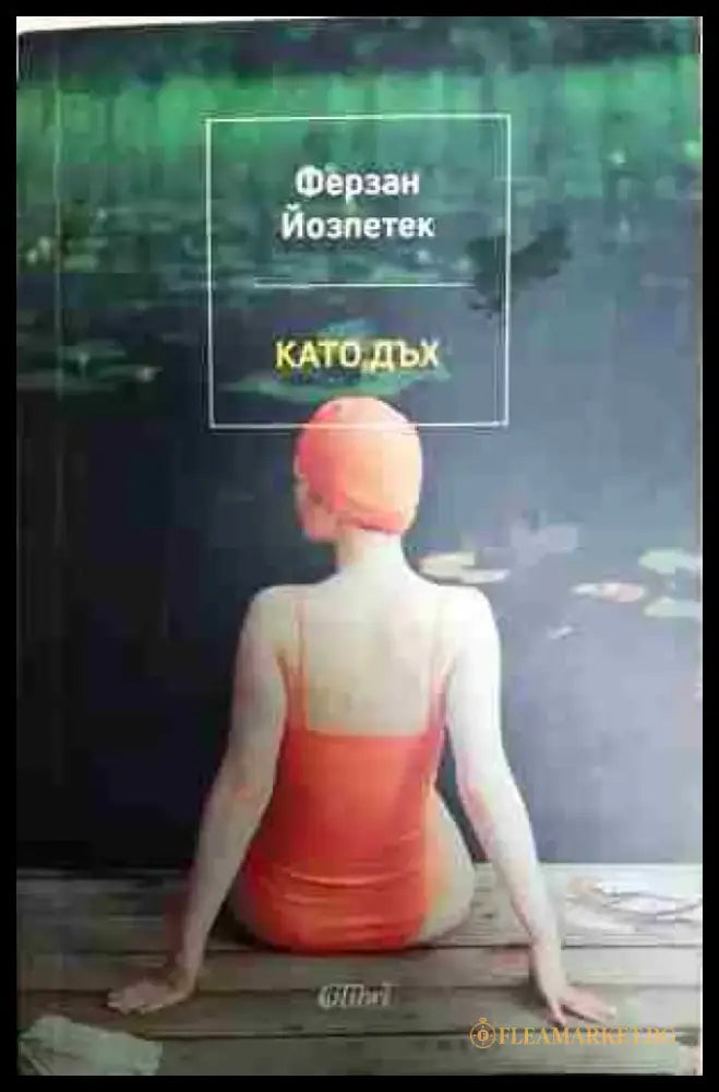 Като дъх - Книга