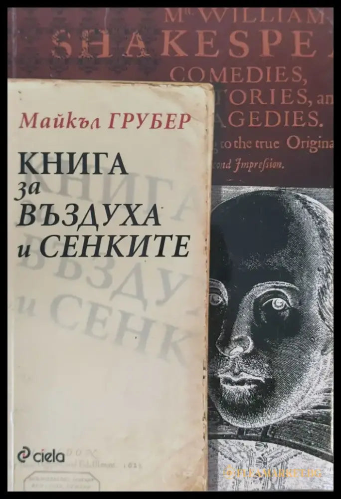 Книга за въздуха и сенките - Книги