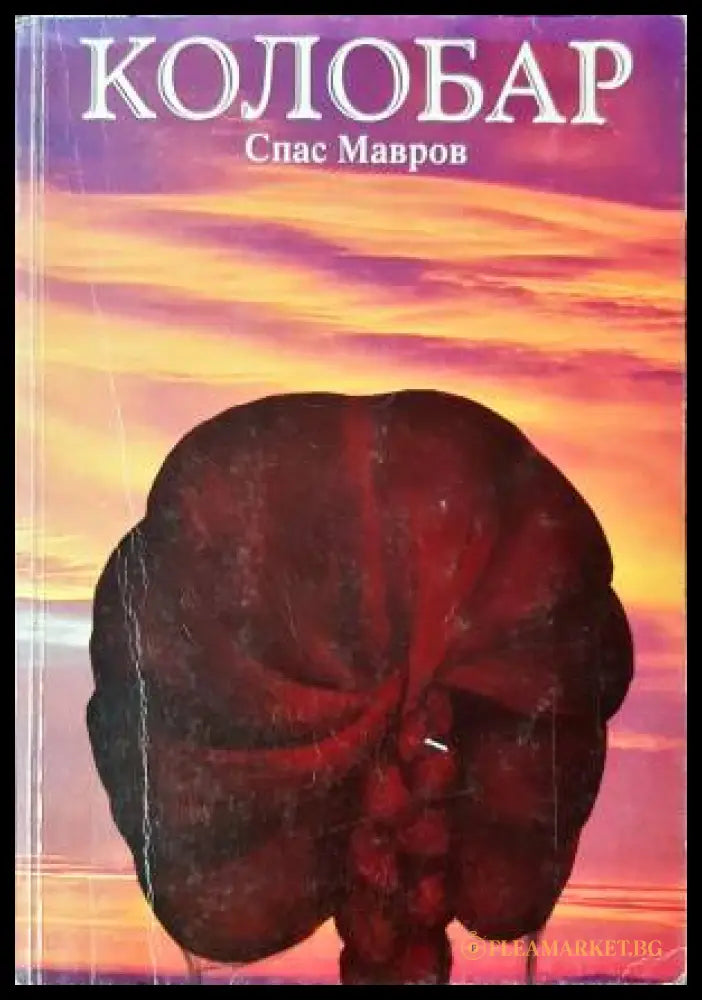 Колобар (33260526171700) - Спас Мавров - Книга