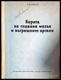 Кората на главния мозък и вътрешните органи (17240526145300) - К. М. Биков - Книга