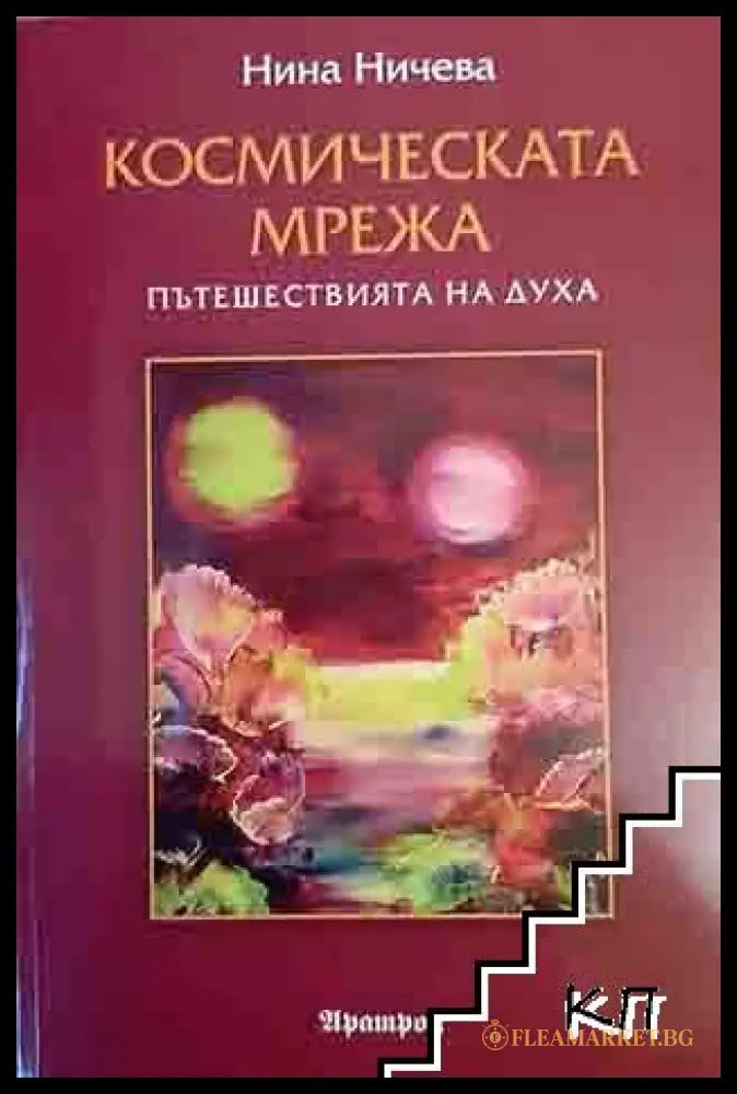 Корица на книгата Космическата мрежа от Нина Ничева