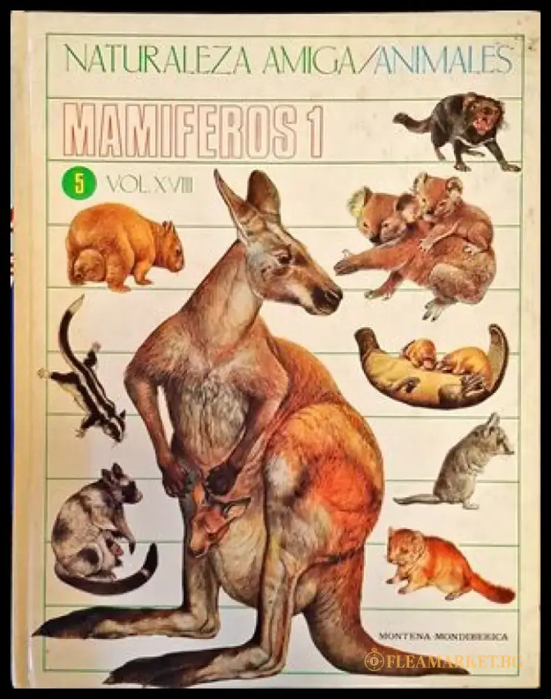 Космосът (14) - Книга
