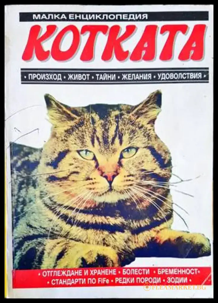 Котката - Книги