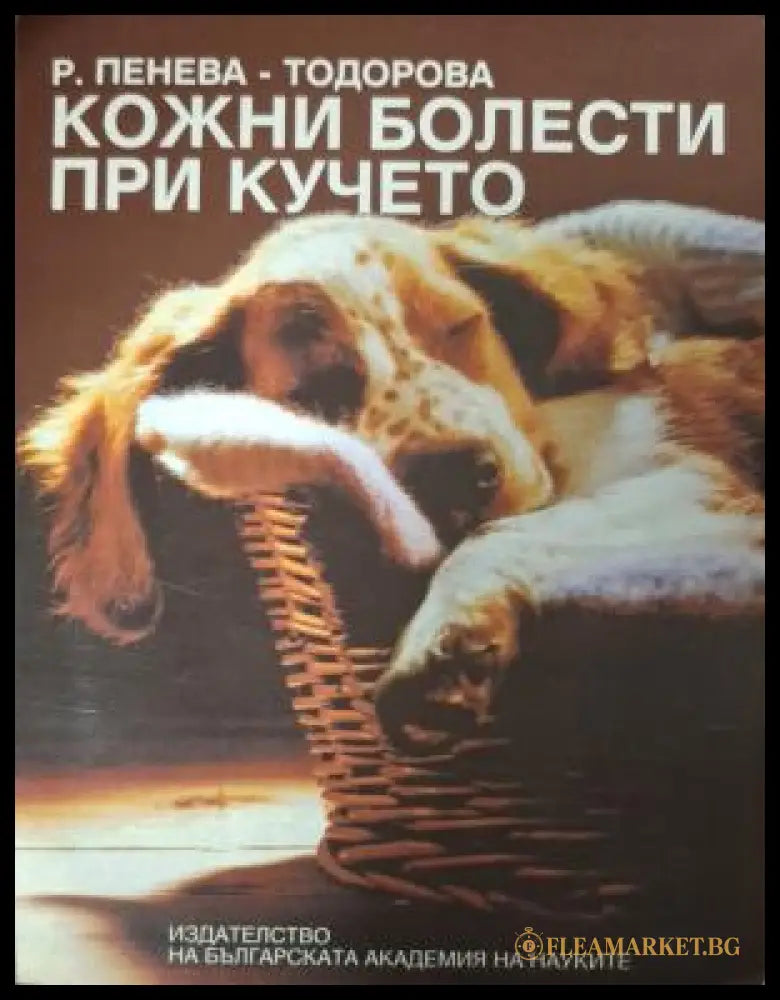 Кожни болести при кучето - корица