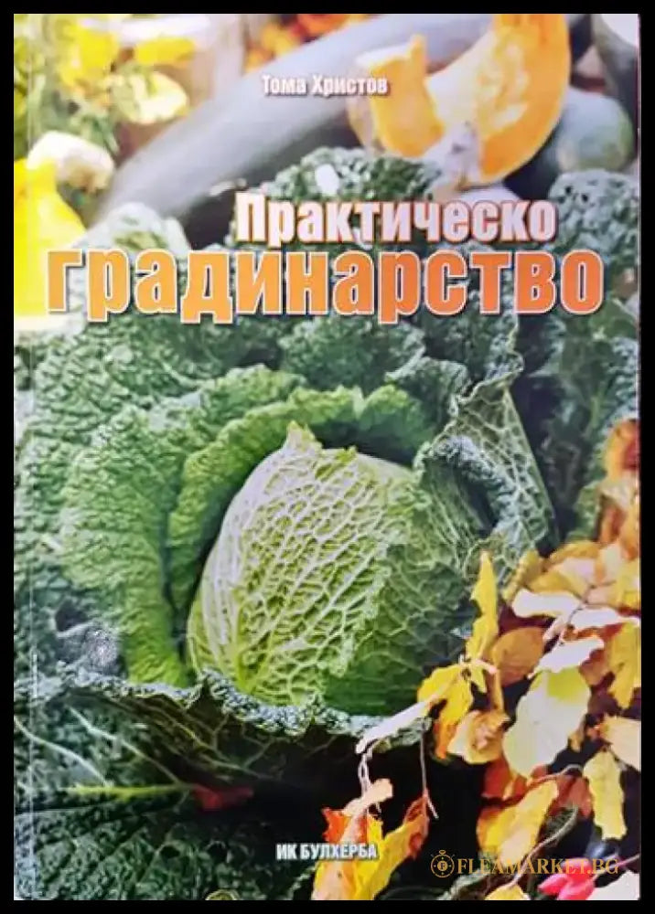 Кралиците на Африка (1225) - Книга