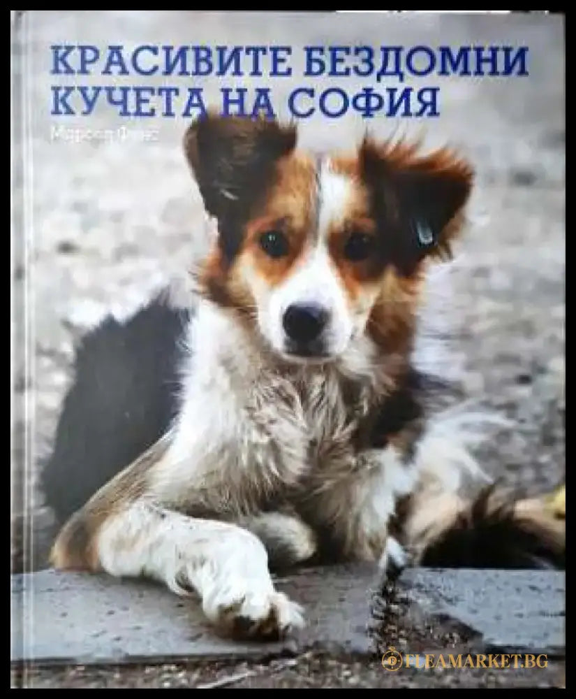 Красивите бездомни кучета на София - Фотоалбум - Книга