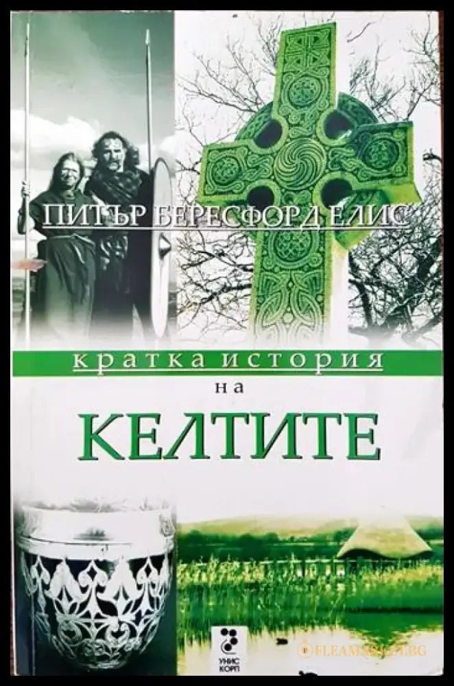 Кратка история на келтите - Книги