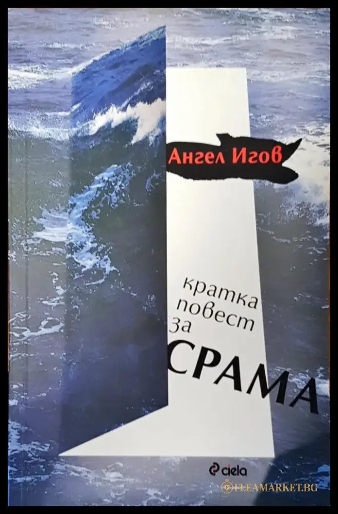 Кратка повест за срама - Книги