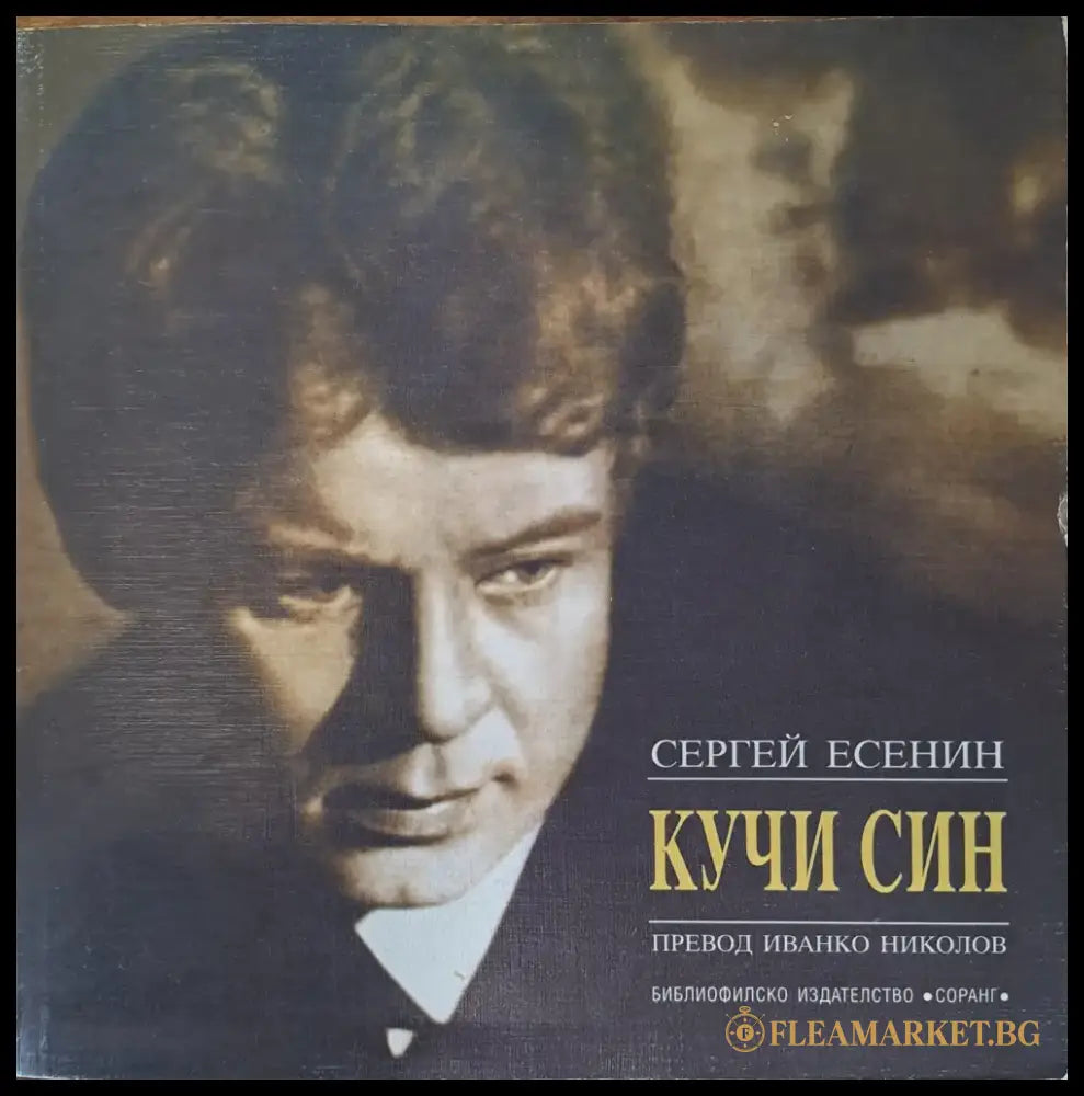 Кучи син - Книги