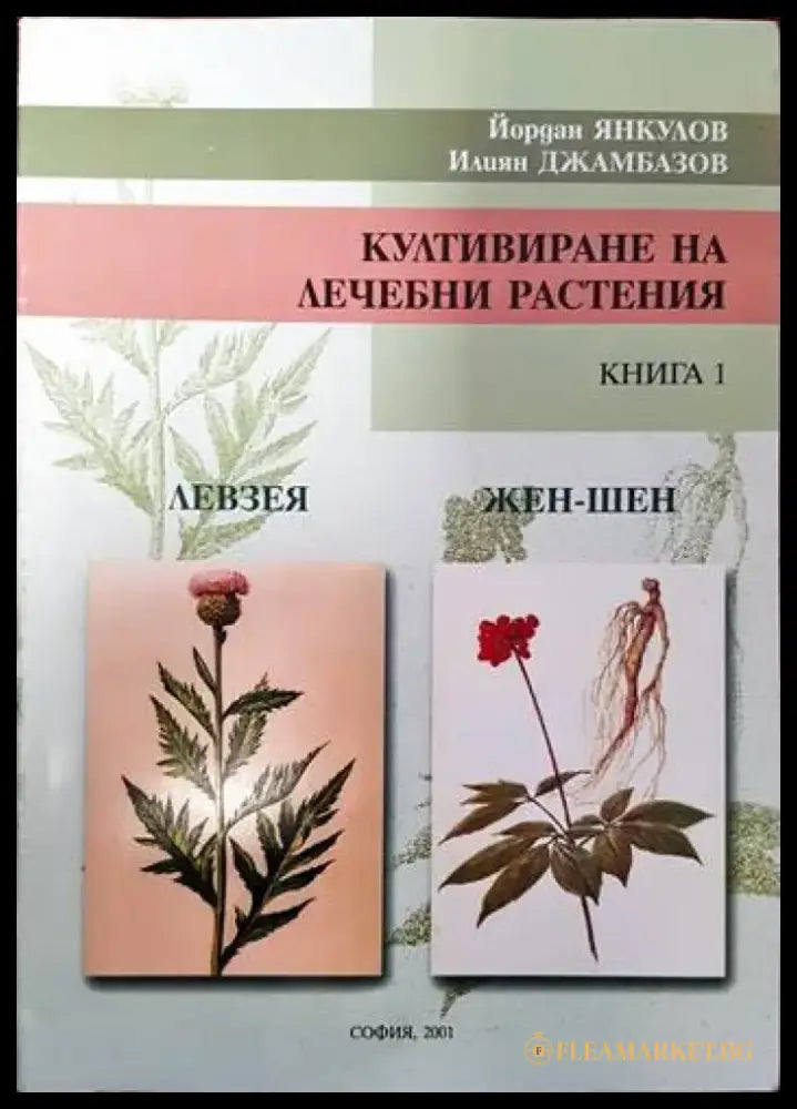 Култивиране на лечебни растения. Книга 1: Левзея жен-шен - Книги