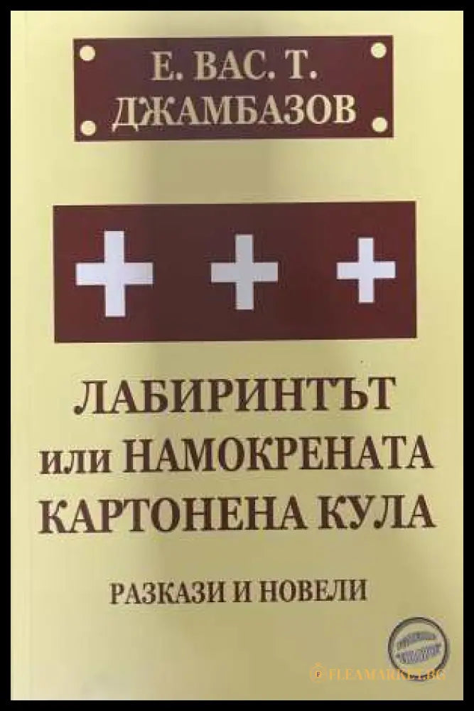 Лабиринтът или намокрената картонена кула - Е. Вас, Т. Джамбазов