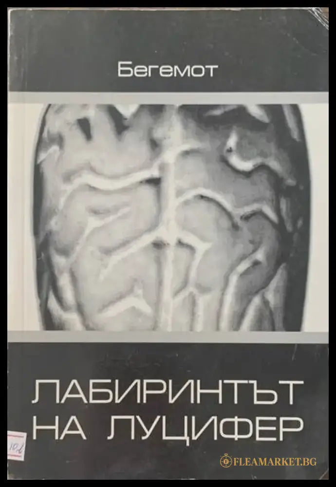 Лабиринтът на Луцифер - Книги
