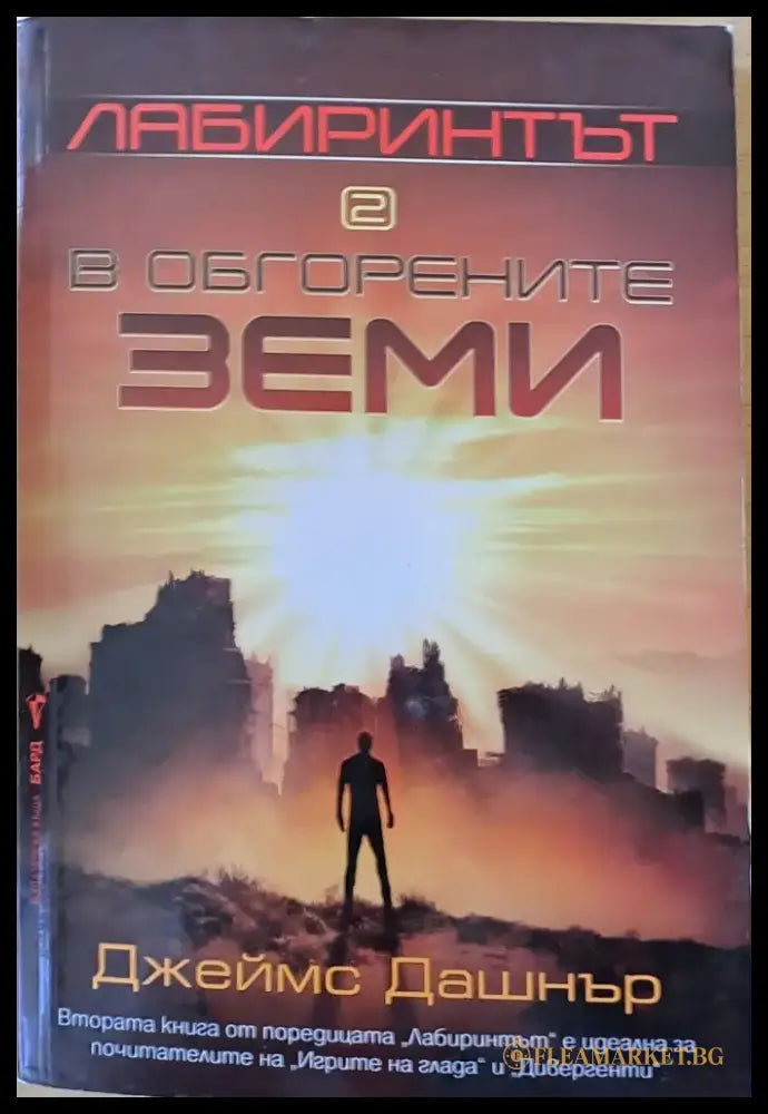 Лабиринтът в обгорените земи - Книги