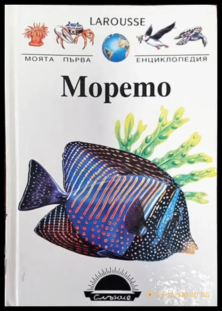 Larousse: Морето - Книги