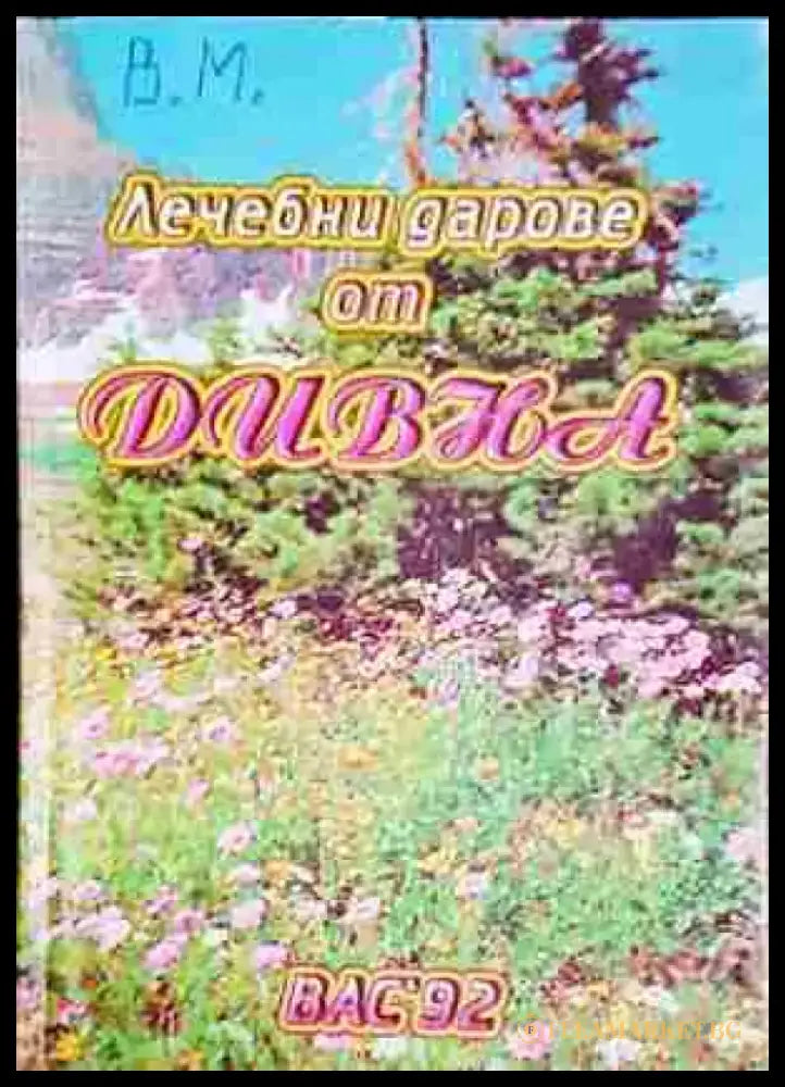 Лечебни дарове от Дивна - Книга