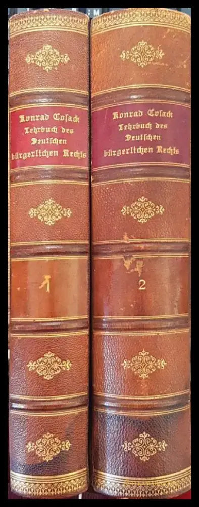 Lehrbuch des Deutschen bürgerlichen Rechts. Band 1 und 2 (1096) - Книга
