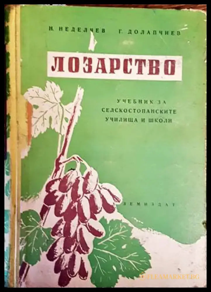 Лозарство (915) - Книга