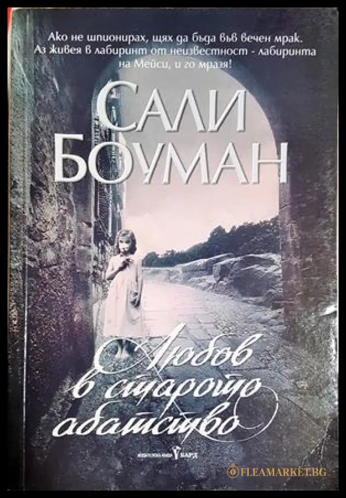 Любов в старото абатство (301906261814) - Сали Боуман - Книга