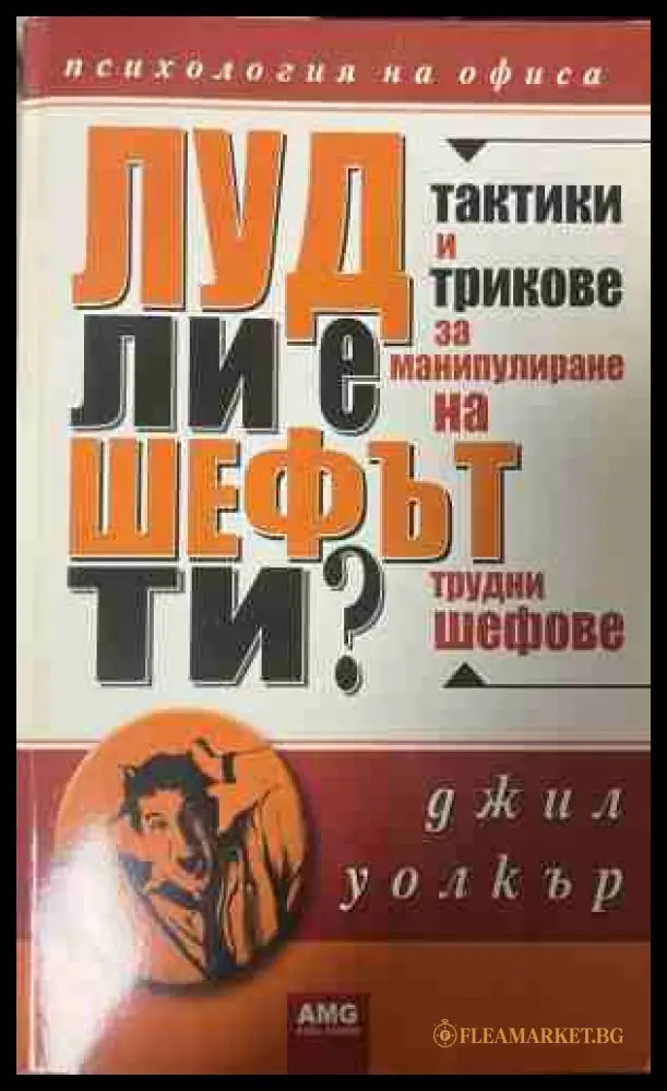 Луд ли е шефът ти? (331409261403) - Джил Уолкър - Книга