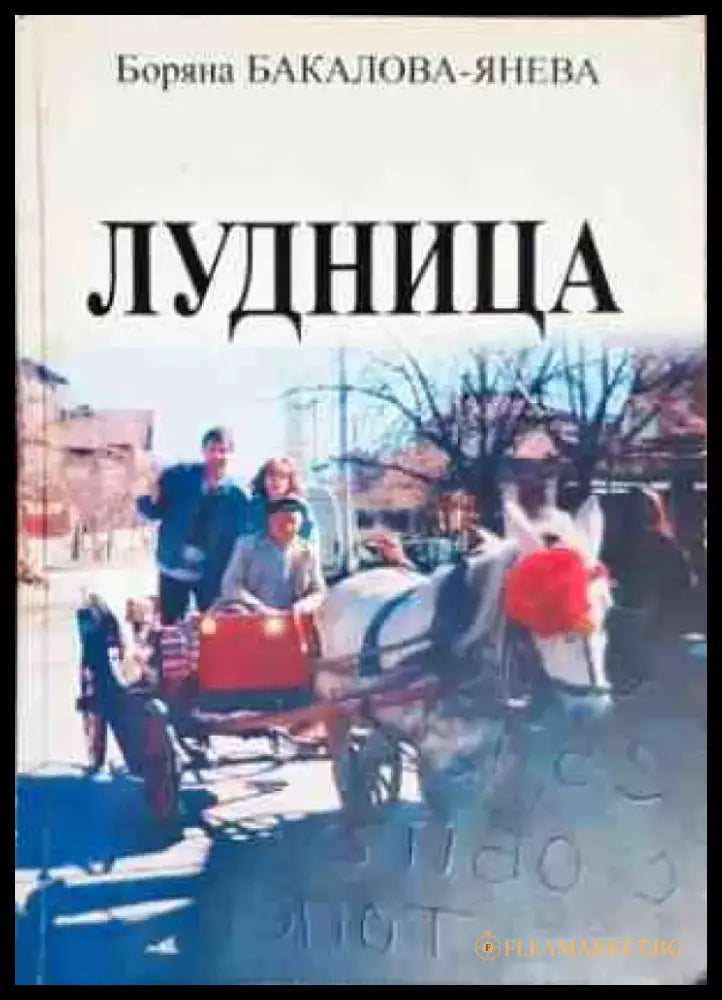 Лудница - Книги