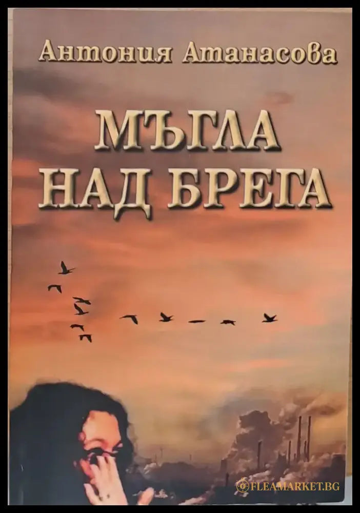 Мъгла над брега - Книги