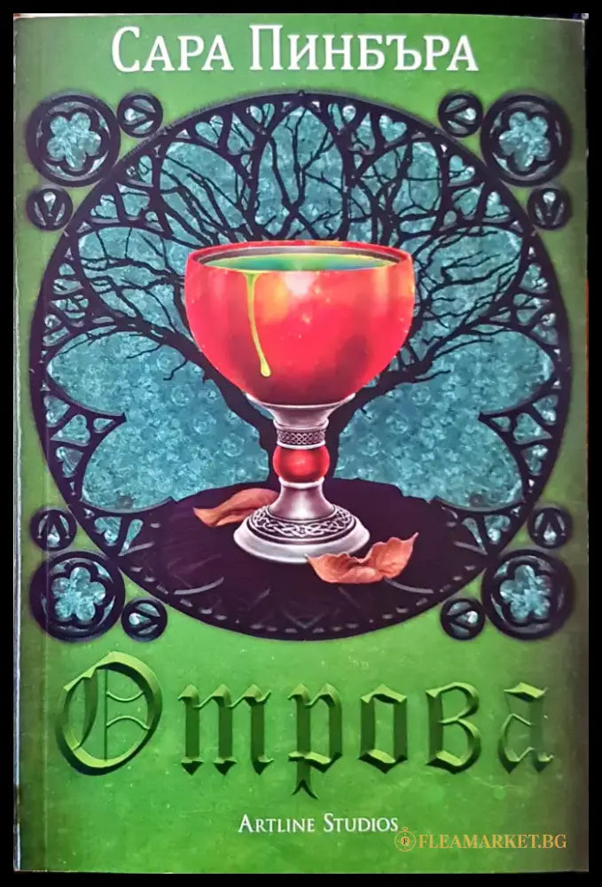 Магът от Стоунуайлд - Книги