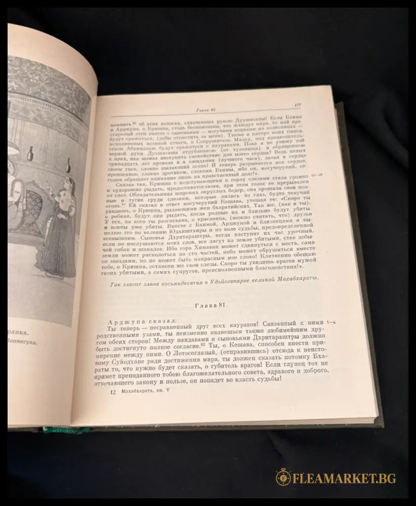 Махабхарата – Книга пятая: Удьйогапарва или Книга о старании (162505262306) - Издателство: Наука - Книга