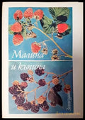 Малина и къпина - Книги