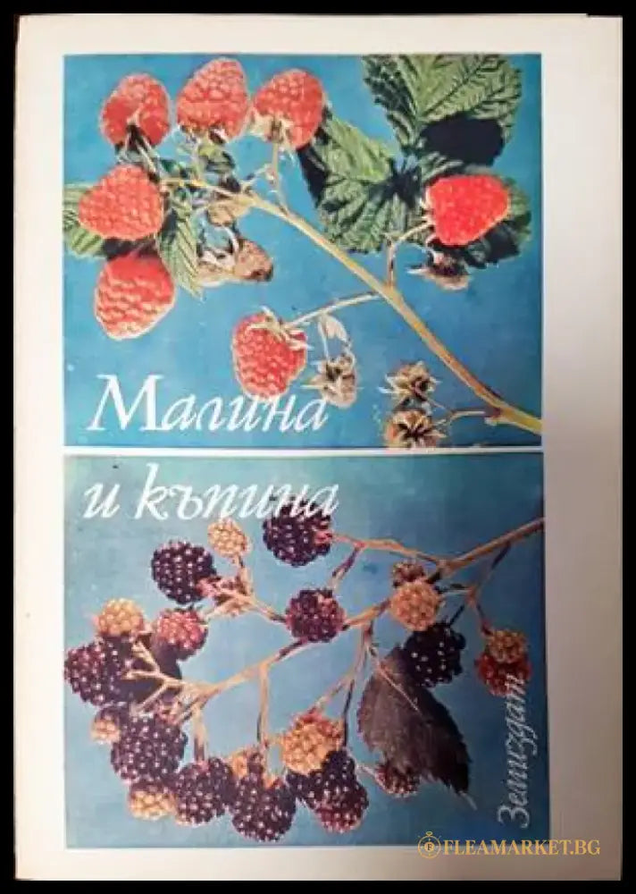 Малина и къпина - Книги
