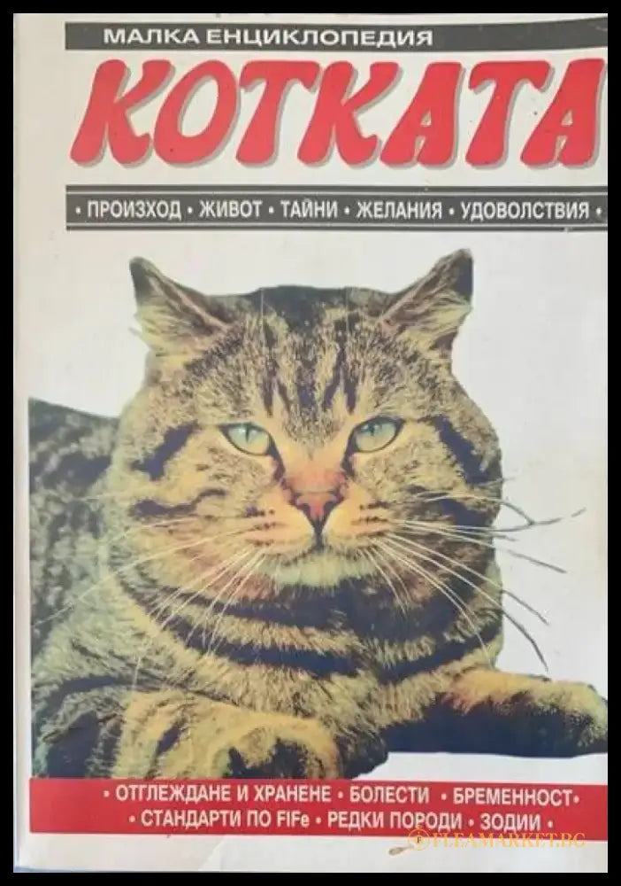 Малка енциклопедия. Котката - Книги