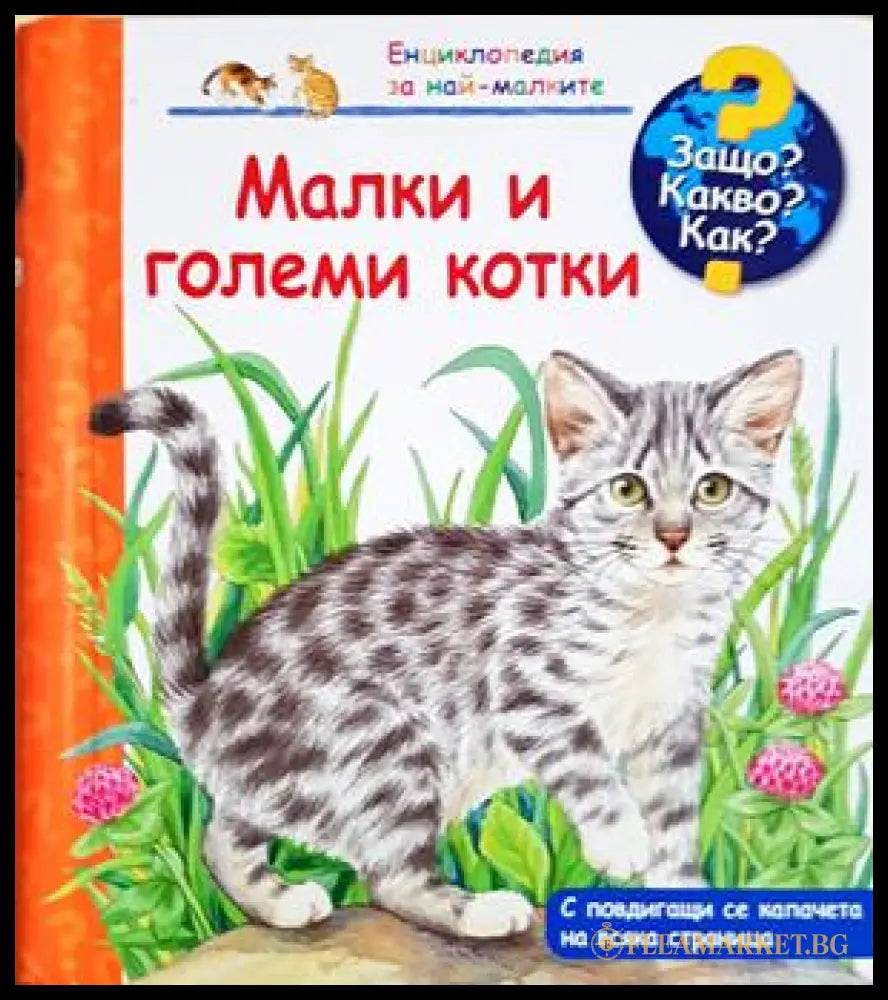 Малки и големи котки (242406261143) - Колектив - Книга