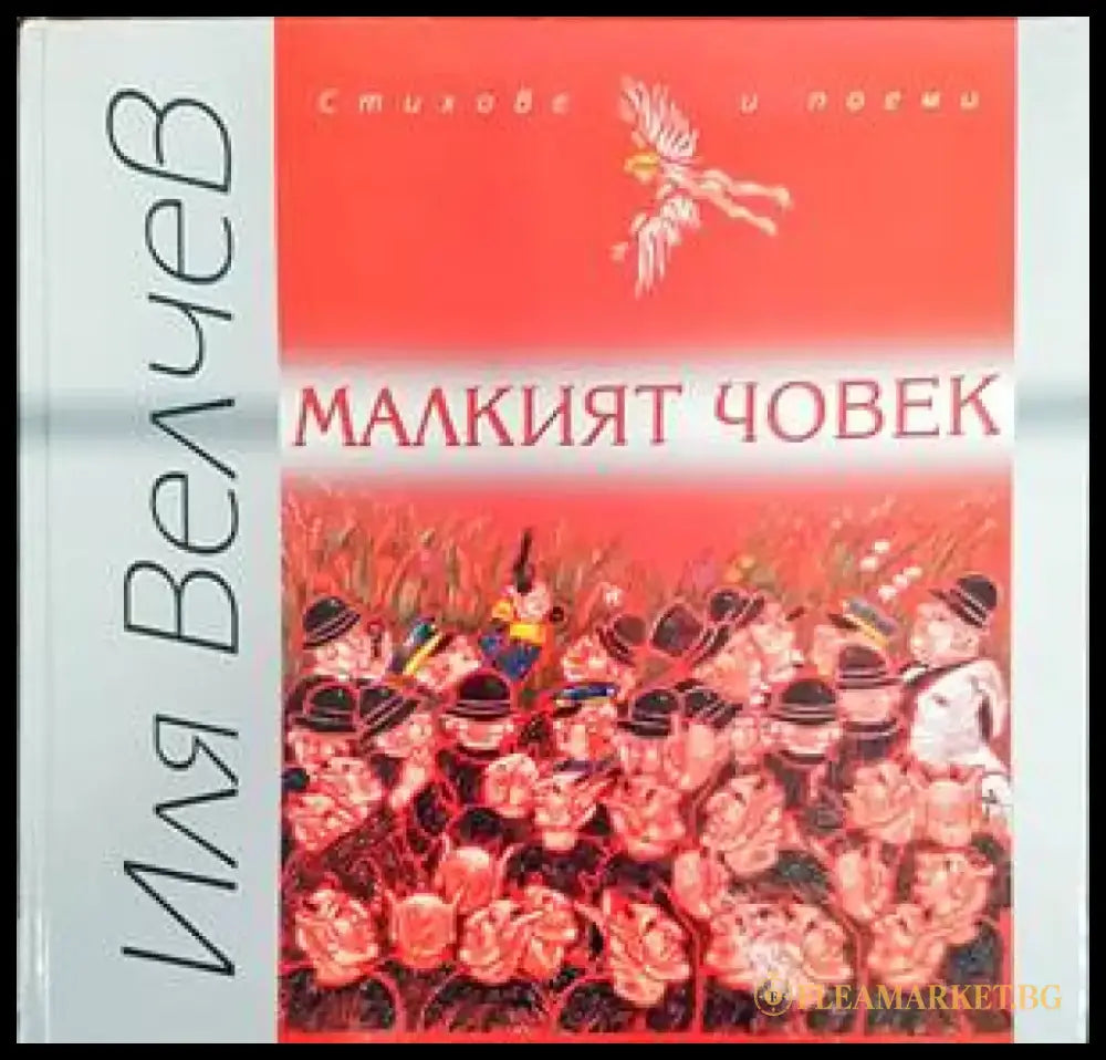 Малкият човек - Книги